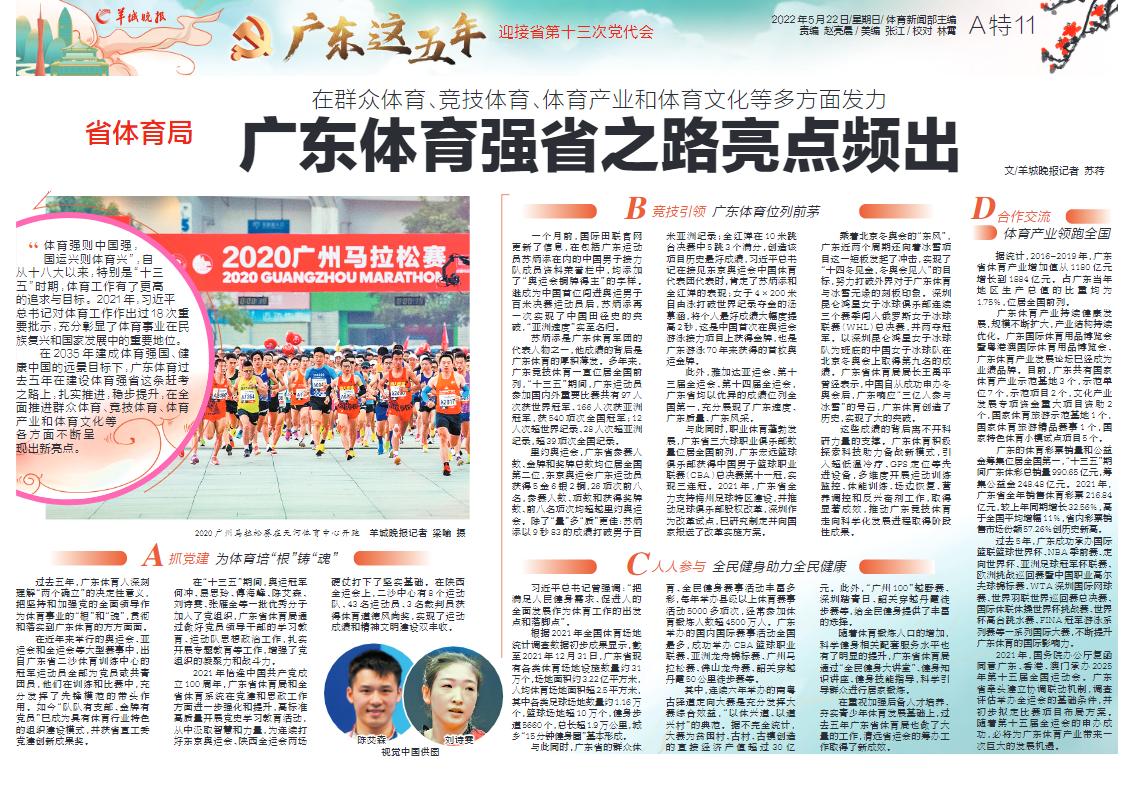 2025年新澳门天天免费精准大全,详细解答、解释与落实
