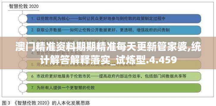今日澳门管家婆100%精准，深度解析与实施策略