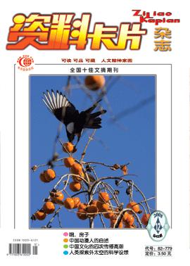 探索新2025，澳门免费资料计划的深度解析与实施路径