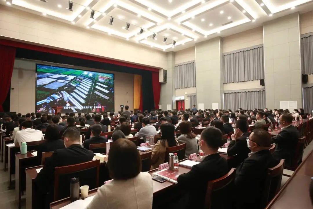 2025年新澳门正版免费，政策解读、详细解释与落实路径