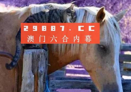 澳门4949最快开奖结果;警惕虚假宣传-全面贯彻解释落实